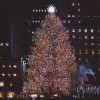 Springos CL1009 Christmas lights, 1000 LED | Buy online — Megaluks