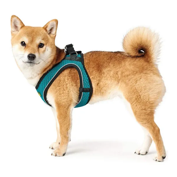 Suņu drošības siksna Hunter Hilo Comfort 55-60 cm M Izmērs Tirkīzs