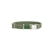 Koera kaelarihm Hunter Roheline 40-55 cm L