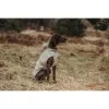 Koera mantel Hunter Milford Beež 50 cm