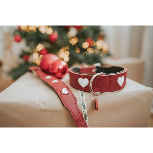 Suņa kaklasiksna Hunter Love S/M 35-40 cm Rojo/Blanco