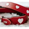 Suņa kaklasiksna Hunter Love XS/S 30-34 cm Rojo/Blanco