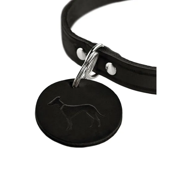 Koera kaelarihm Hunter Aalborg Must XS/S 28-33 cm