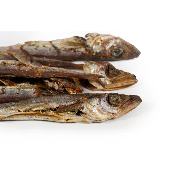 Kostea ruoka Snackys Kala 70 g