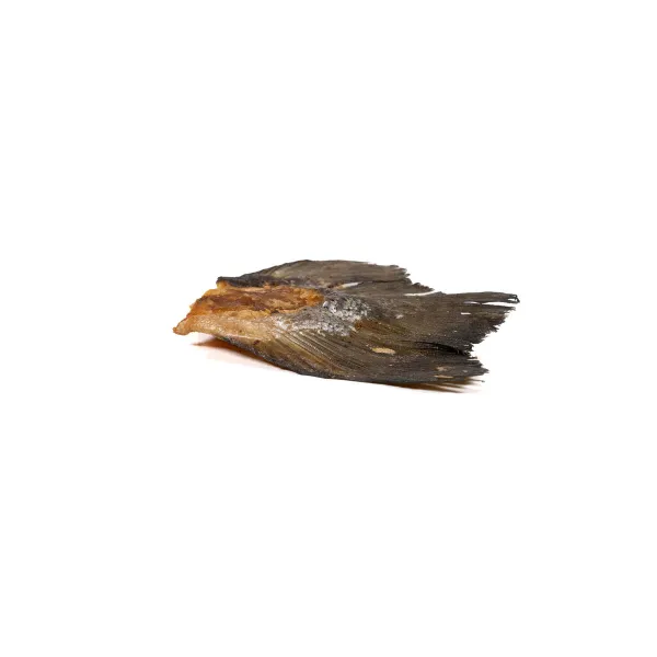 Šlapias maistas Snackys Žuvis 85 g