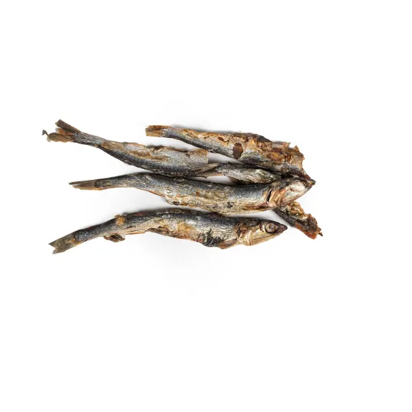 Kostea ruoka Snackys Kala 70 g