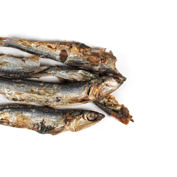 Šlapias maistas Snackys Žuvis 70 g