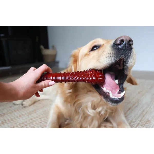 Kauls Nylabone Brūns Bacon XL