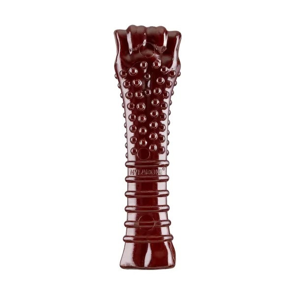 Kauls Nylabone Brūns Bacon XL