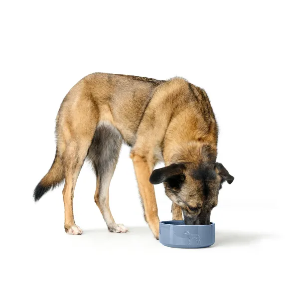 Dog Feeder Hunter OSBY Blue Ceramic 550 ml