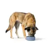 Dog Feeder Hunter OSBY Blue Ceramic 550 ml