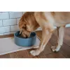 Dog Feeder Hunter OSBY Blue Ceramic 550 ml