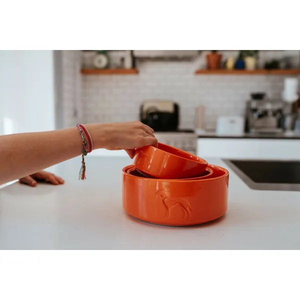 Suņu barotava Hunter OSBY Oranžs Keramika 1,9 L