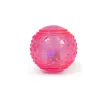 Mājdzīvnieku Bumba Gloria PLAY AND RUN Rozā TPR 6,35 cm