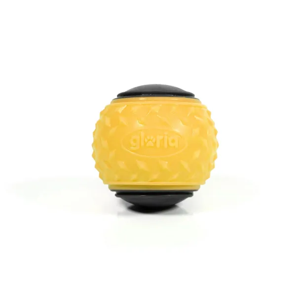 Mājdzīvnieku Bumba Gloria PLAY AND RUN Dzeltens TPR M 6,35 cm 2 gb.