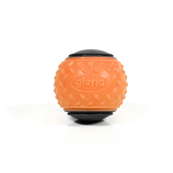 Mājdzīvnieku Bumba Gloria PLAY AND RUN Oranžs TPR M 6,35 cm 2 gb.