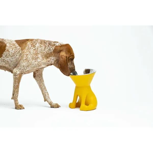 Suņu barotava United Pets Elisabeth Yellow Nerūsējošais tērauds Polietilēns 1 L