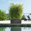 Stiklainis Lechuza 100 x 32 x 34 cm Plastmasinis Stačiakampis