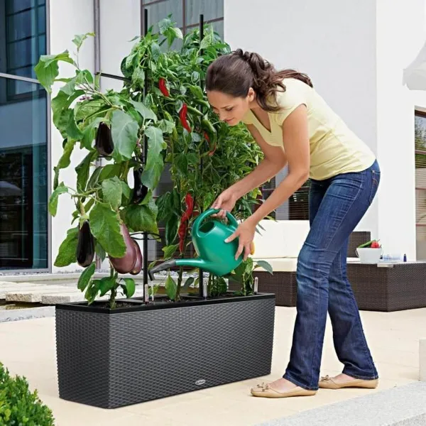 Банка Lechuza 100 x 32 x 34 cm Пластик Прямоугольный