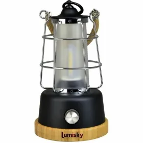 Lantern Lumisky WILDY
