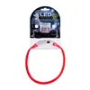 Dog Lead Hilton LED