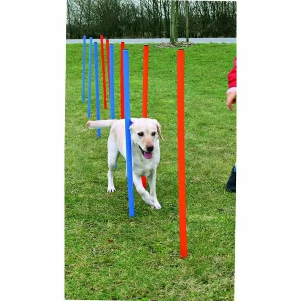 Training toy Trixie