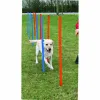 Training toy Trixie