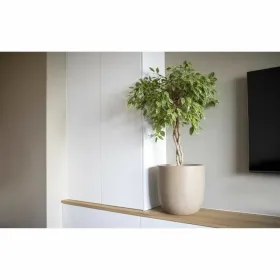stādītājs Capi Europe Plastmasa Ø 35 cm 35 x 35 x 34 cm