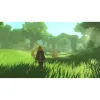 Video game for Switch 2 Nintendo HYRULE W ERA DST