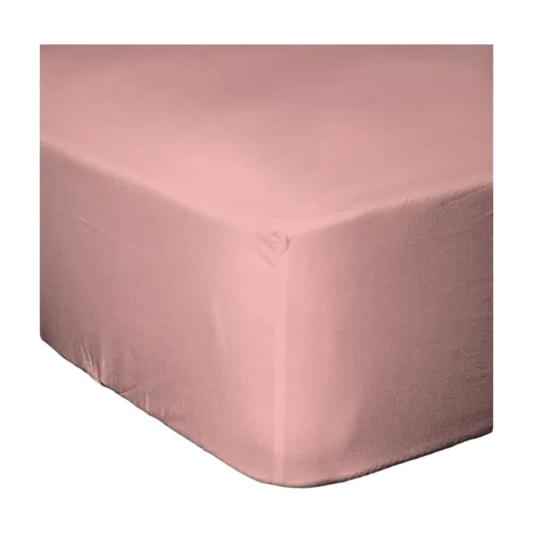 Uzmontēta apakšējā loksne Lovely Home LH71628 Rozā Rose 140 x 190 + 30 cm