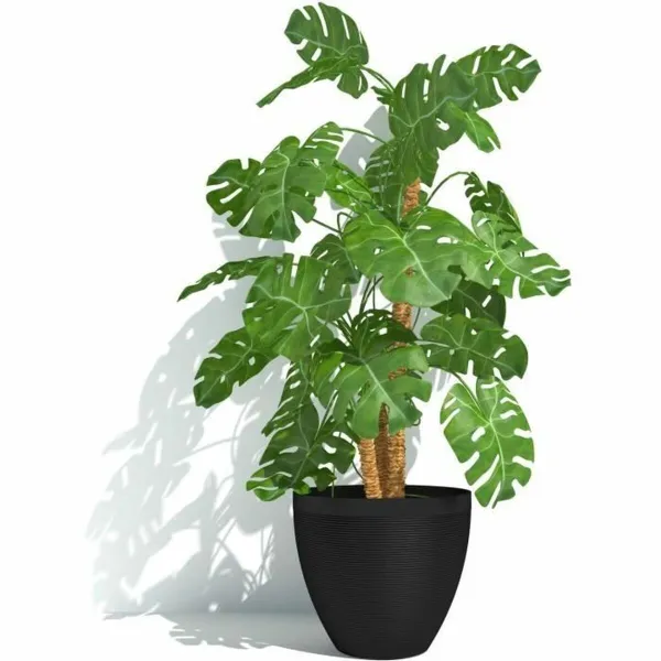 Банка Garden ID Чёрный 30 x 26 cm