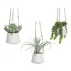 Decorative Plant 800073 Succulent 20 cm For hanging Artificial