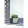 Pušķi Garden ID Pelēkbrūns Kvadrāta 40 x 35 cm
