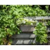 Self-watering planter Garden ID Taupe