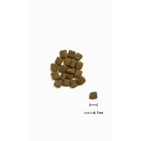 Fodder Orijen Small Breed Marine Fish Fish 1,8 kg
