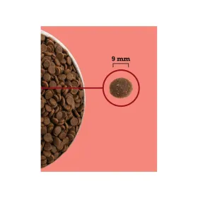 Kassitoit Acana Kana 1,8 kg