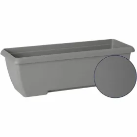 Pušķi Garden ID Teramo Pelēks 60 cm