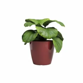 stādītājs Artevasi SAN REMO Ø 42 cm Sarkans (2 Daudzums)