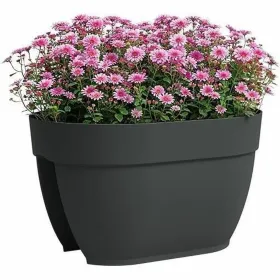 Pušķi Artevasi CAPRI CAMPANA Pelēks Antracīts Ø 40 cm
