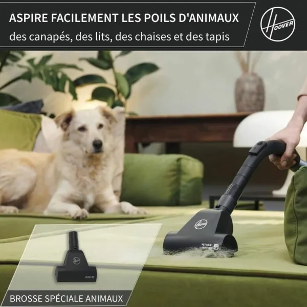 Ištraukėjas Hoover HE120PET 011 Juoda Pilka 700 W