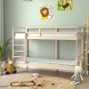 Putu matracis Deko Dream