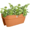 Kukkaruukku Elho Vibia Campana Flower Bridge 60 Ruskea 26 x 59 x 22 cm