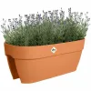 Kukkaruukku Elho Vibia Campana Flower Bridge 60 Ruskea 26 x 59 x 22 cm
