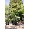 Taimepott Elho Must Antratsiithall 30 x 29,5 x 22 cm