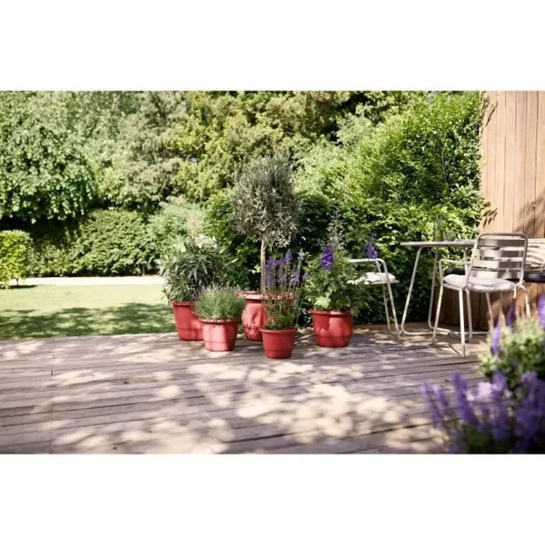 Stiklainis Elho rouge 30 x 29,5 x 22 cm