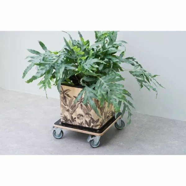 Gėlių puodo stovas su ratukais Nature Juoda Medžio 38 x 38 cm