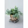 Gėlių puodo stovas su ratukais Nature Juoda Medžio 38 x 38 cm