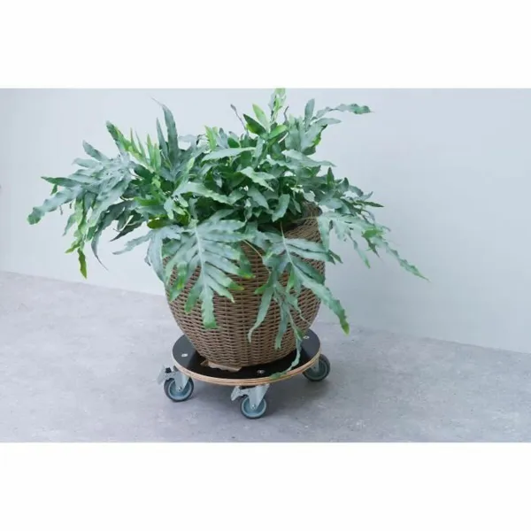 Puķpoda Statīvs ar Riteņiem Nature Koks Ø 38 cm