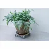 Gėlių puodo stovas su ratukais Nature Medžio Ø 38 cm