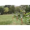 Солнечный светильник Canopo Натуральный 20 Lm (3 штук)